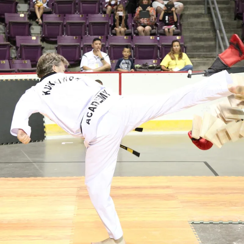 Grand Master Robert Stevens breaking boards at the Hanmadang